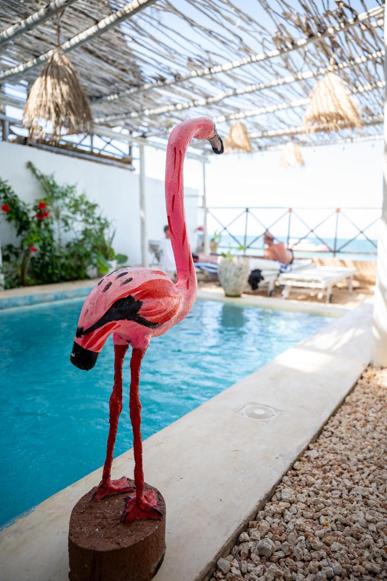 Pili Pili Boho Beach Jambiani  Exteriér fotografie